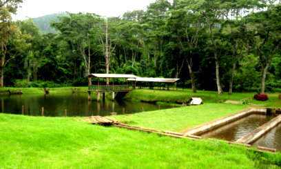 Trout Farm at Chawe